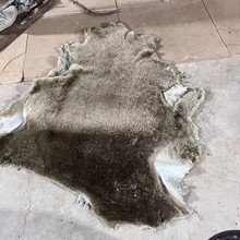 ƤƤëһw ëЬƤbđƤ NȾɫqƤ S