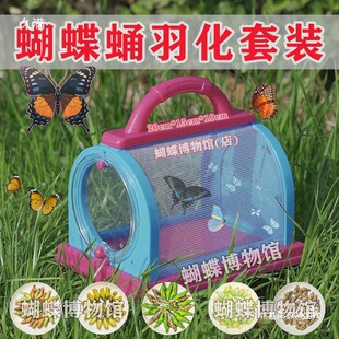 �����Ӽ�ɷ���������xС�͌����B��ͯ���նY����������b����