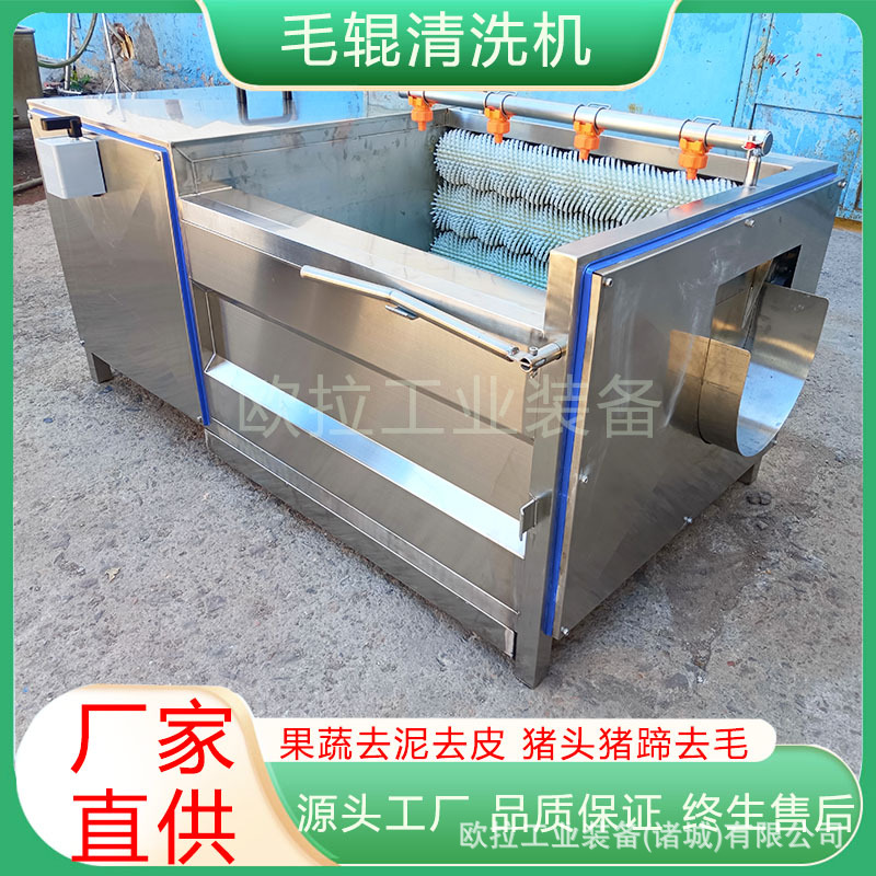 毛辊清洗机