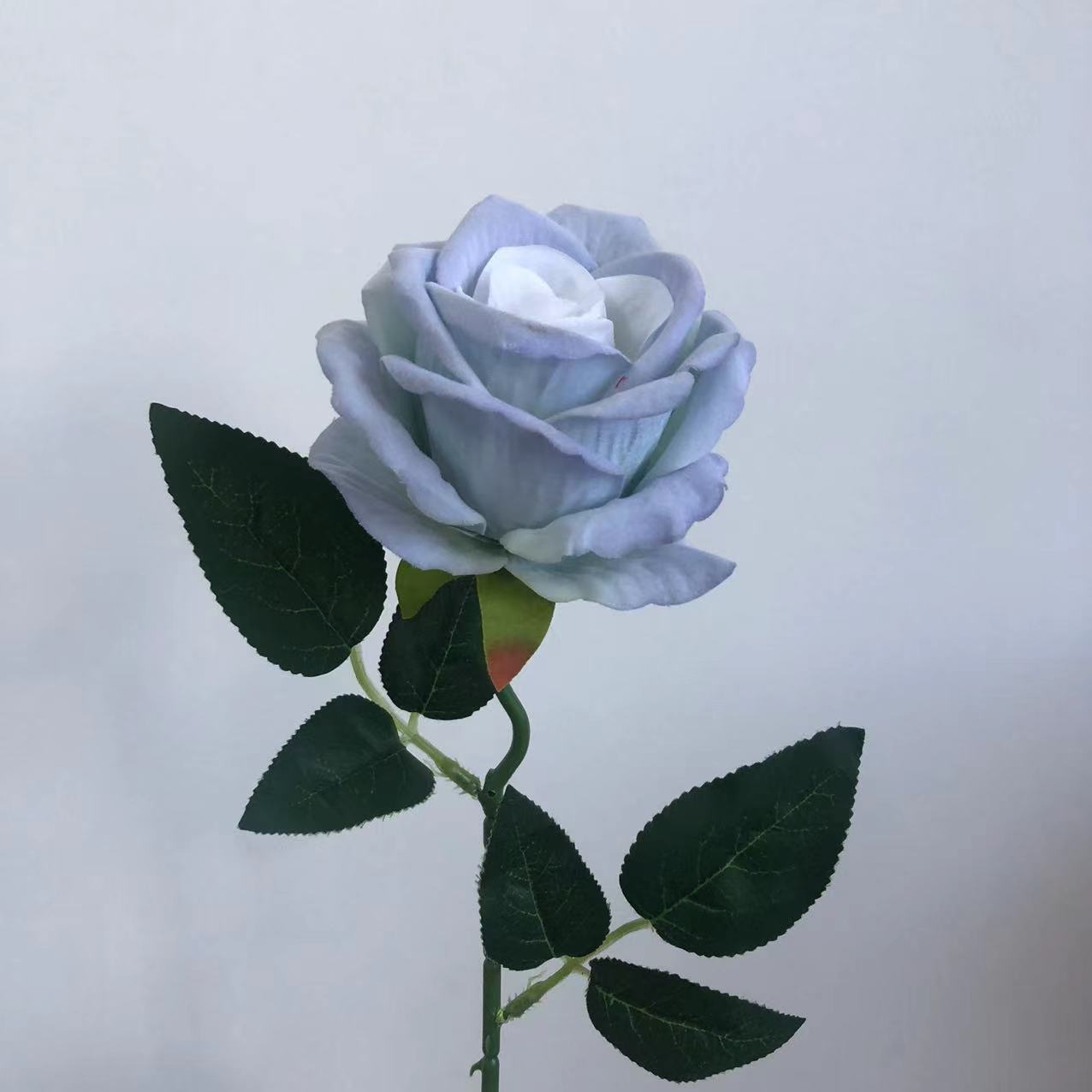 안개가 자욱한 파란색