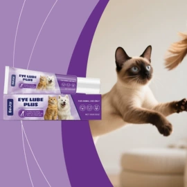 其他美妆工具;身体护理套装;头皮护理用品