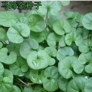 �²��R���ݷN�� �l ��ƺ�N�Ӳ��� �R���e�����X�� �~�X�ݷN��