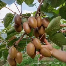 ���l�J���Ҙ����������ٹ�����ܛ���J�������Ϸ������NֲͥԺ����