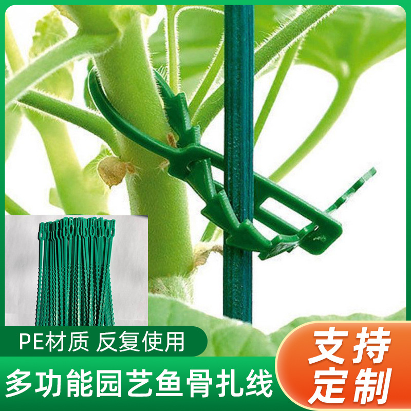 园艺鱼骨扎带月季爬藤植物固定神器塑料扎带捆绑花绳葡萄支架扎条