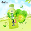 Tingyi Green Plum Green Tea Meihao bottled Drinks Full container 3300ml*12 Fruity tea summer drink