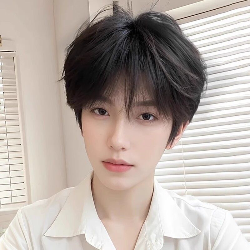Korean Style Handsome Natural Short Hair Wig for Men, Everyday Fluffy Straight Hair Short Hairstyle
