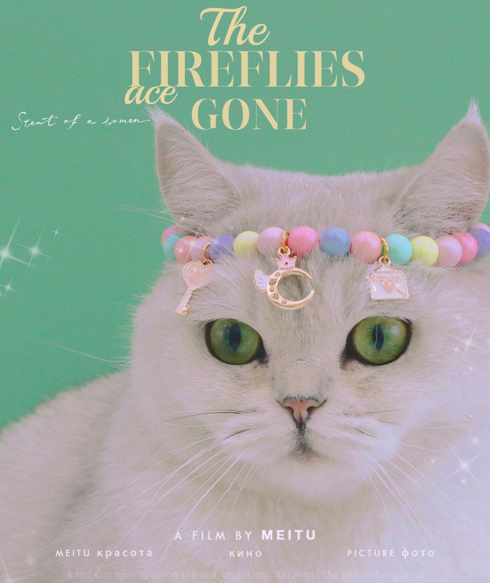 Hadas gatos perros perlas de color sueños luna tocado meteorito conejo collar de cumpleaños disparo accesorios pulseras