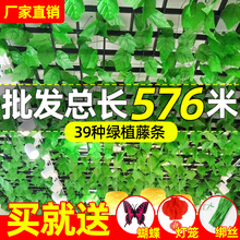 ���������~�ٗl�����Gֲ����~�ܵ�����b��ټٻ����ϾG�~�ړ�