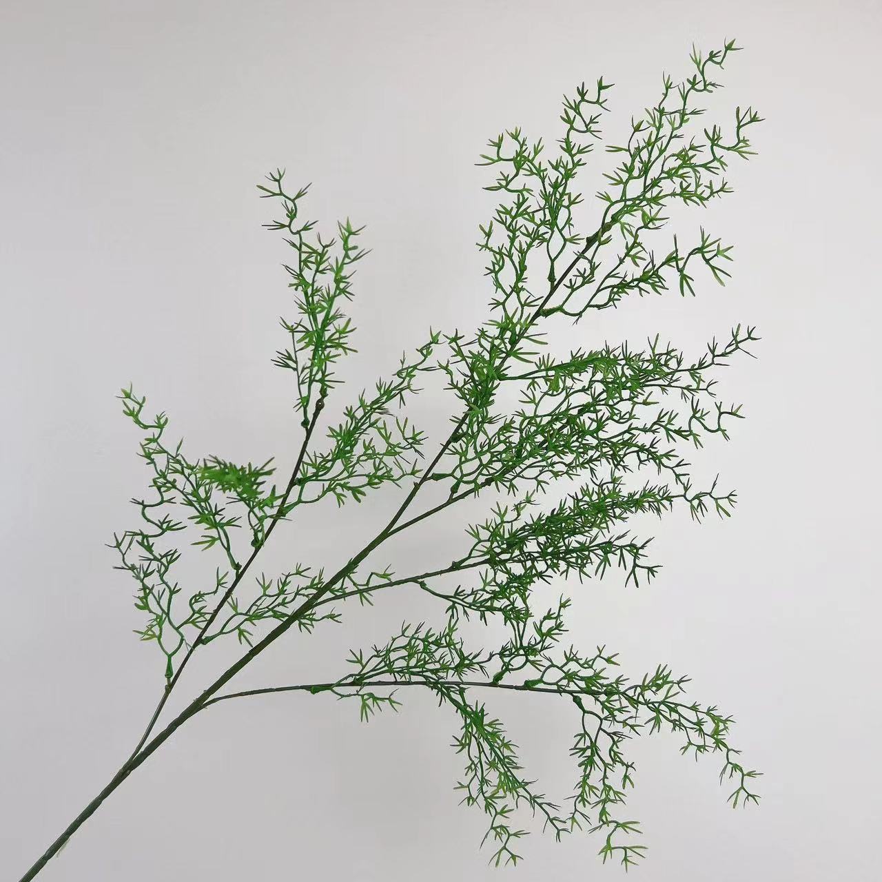 산호 잔디 녹색