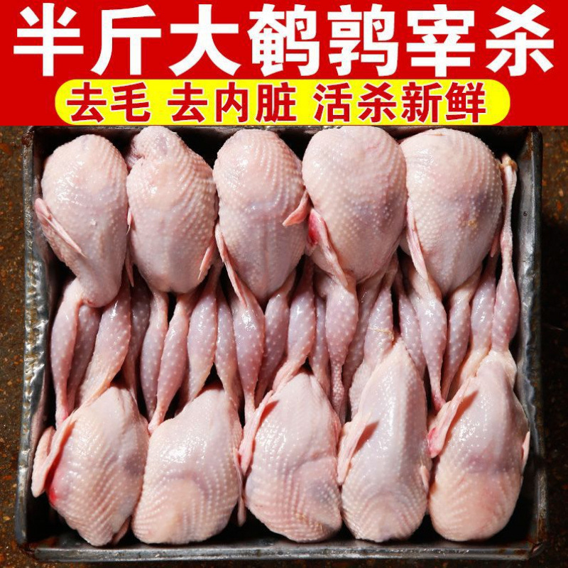 40 Large Female Quail Fresh Quail Meat Quick-Frozen White Strips Barbecue Quail Bird Freshly Killed Pigeon Whole Box Manufacturer