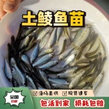 ����N�~�����N���N�~��̩�N�~����w��ˮ�Bֳ�r���ʳ���^�p�~��