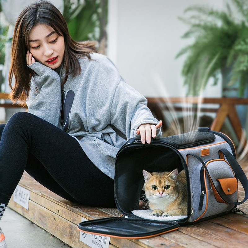 一件代发便携式宠物包猫咪狗狗外出包手提包可折叠折叠防水牛津布