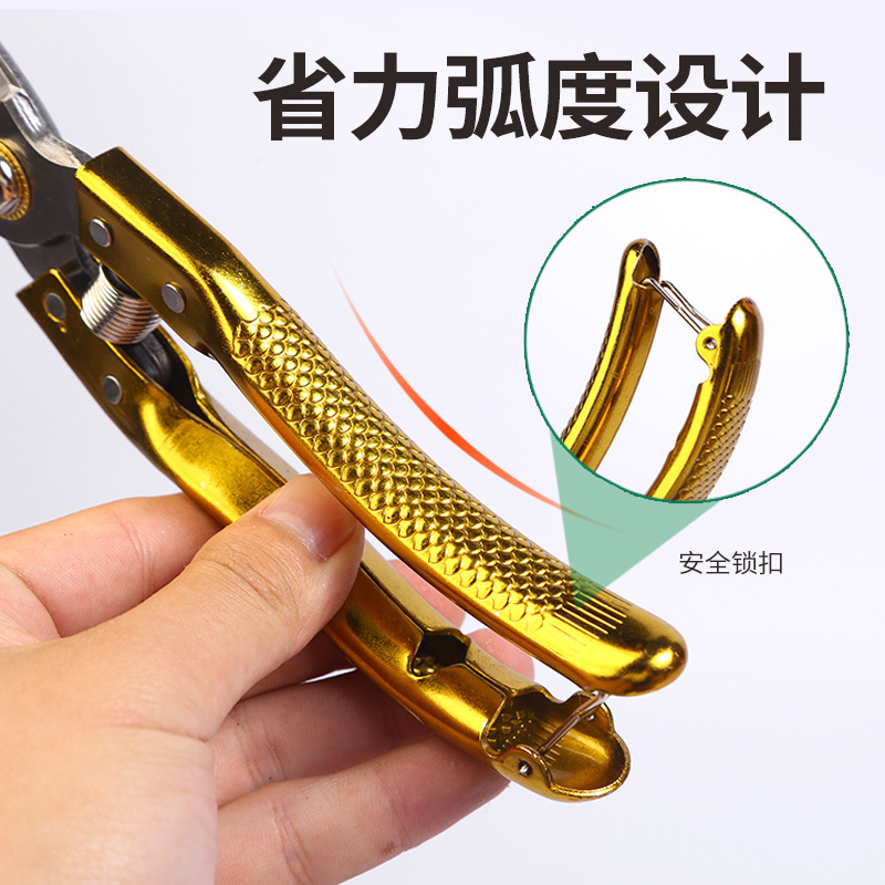 Tijeras de podar Winda tijeras de podar de frutas rama poda jardinería tijeras de poda de frutas jardinería de jardín tijeras de árboles frutales