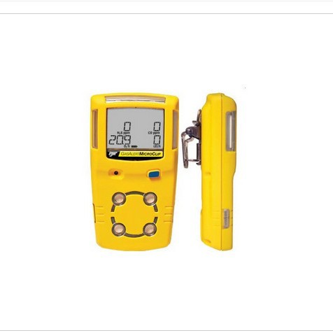 BW便携式硫化氢检测仪 GAXT-H-DL 硫化氢检测仪 加拿大气体检测仪