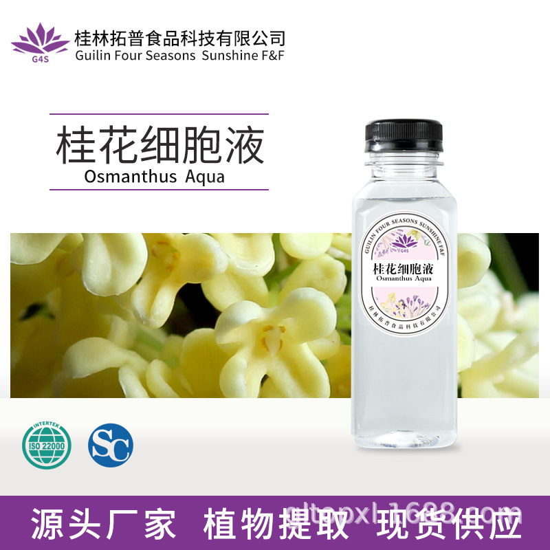 Osmanthus fragrans Cell Liquid Low Temperature Extraction Plant Extraction Aromatherapy Stock Liquid Daily Beverage Raw Material Factory Top Spice