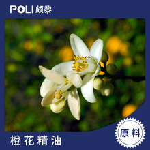 橙花精油原液批发进口橙花精油厂家颇黎进口橙花精油