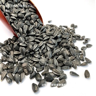 ����]С�W�^�Bʳ����͹��ӿ�������B�Z������}�������Z����