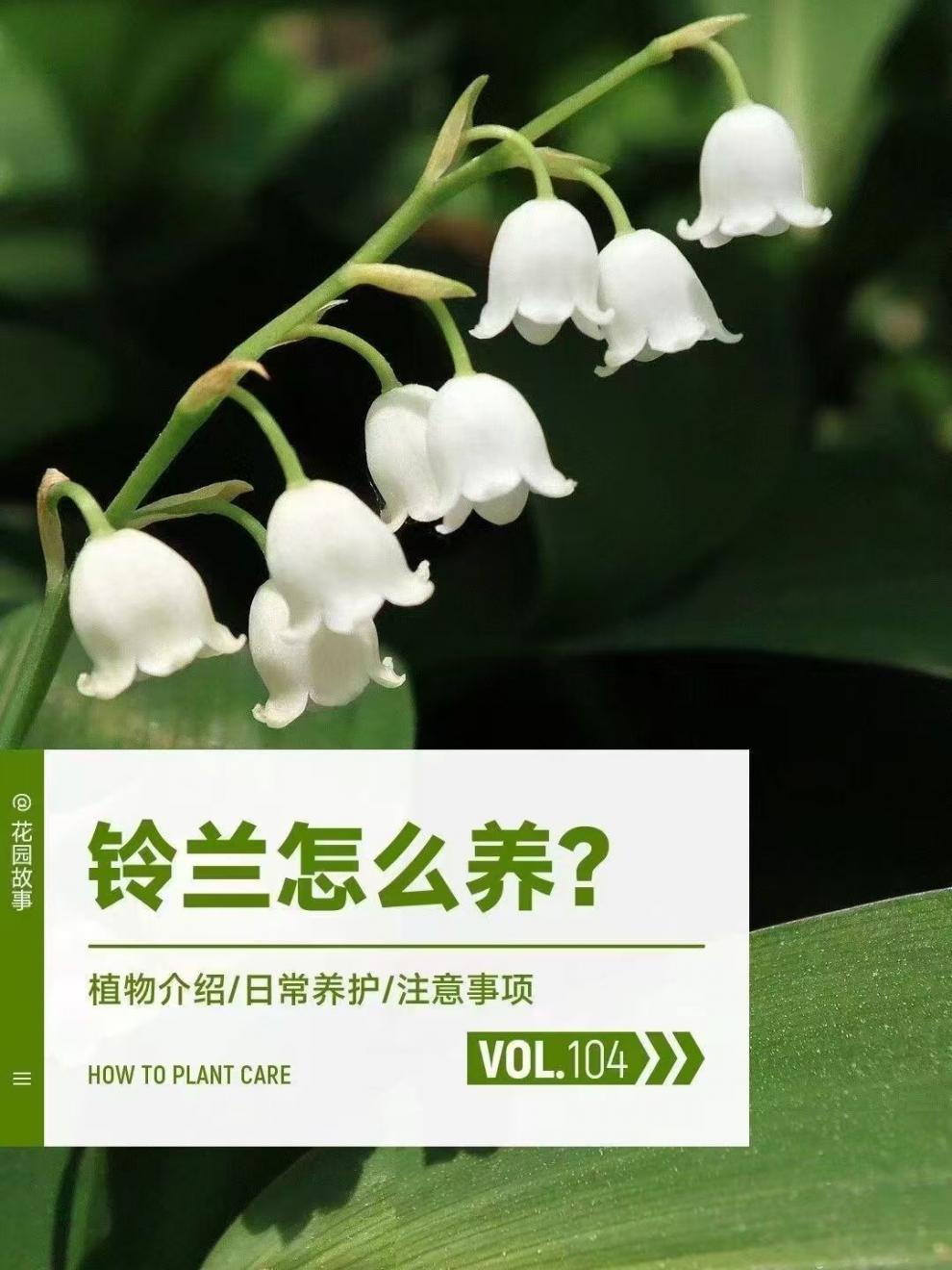 55df70f1-4a6b-4fad-9866-eb4ce45d572d.jpe