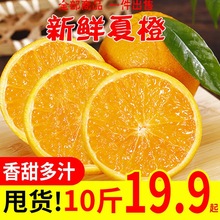 夏橙当季新鲜秭归脐橙橙子水果孕妇现摘现发整箱批发包邮2/5/10斤