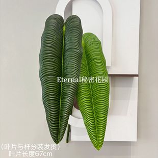 ����Gֲ�W�t�~�Ꭷ���ֻ��Q�������B�~ɭϵֲ�������~���˽��쾰