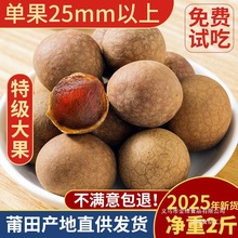福建莆田特产12A大桂圆干特级旗舰店2025年新货2斤包邮龙眼干小核