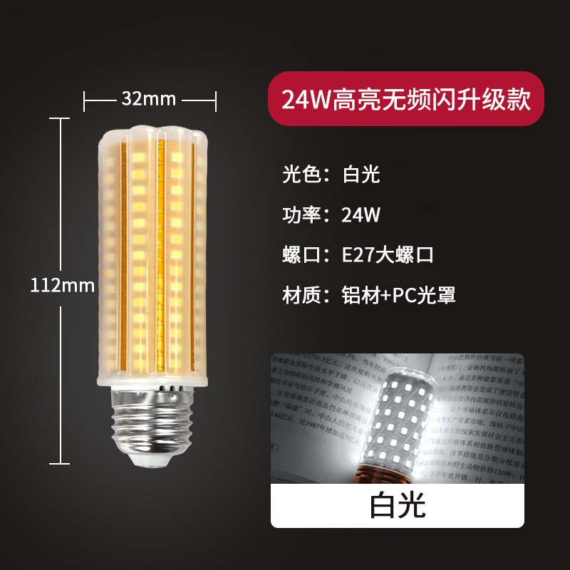 24w E27大螺口白光