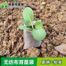 货源直供无纺布育苗袋美植袋可降解营养袋园艺种植袋植物绿植环保