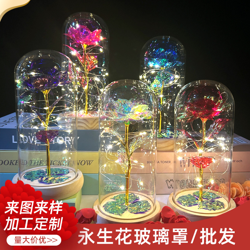 Cúpula de cristal con flor preservada 520, rosa del Día de San Valentín, adorno de linterna, regalo de Navidad, decoración de puesto de bodas, pequeño regalo