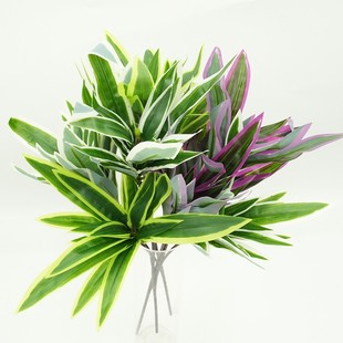 �羳�Gֲ3�^�ٺ��������¶�ݻ�Y�F���L��������Gɫֲ��[��