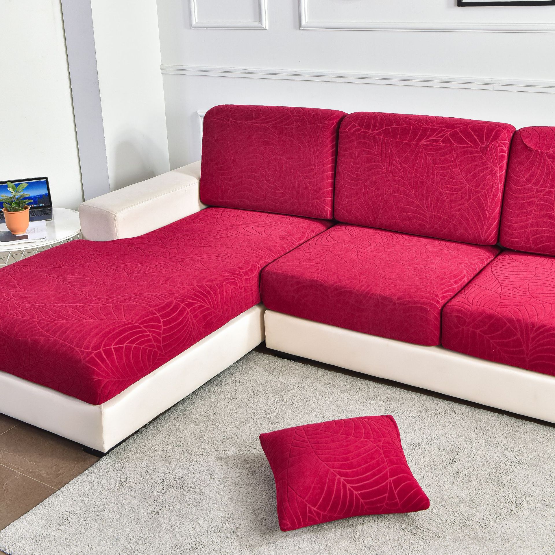 DSC_8501立派摄影 (4).jpg