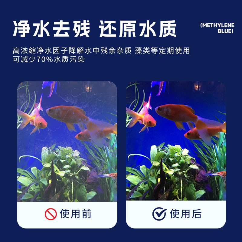 メチレンブルー水槽消殺検疫観賞魚錦鯉白点浄水かび腐った尾観賞魚用溶剤|undefined