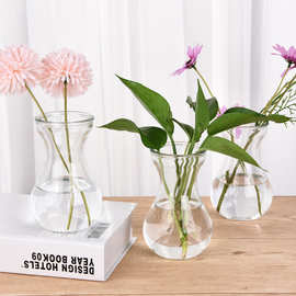 批发玻璃风信子透明玻璃水培容器玻璃花盆水培瓶插植物器皿养花瓶