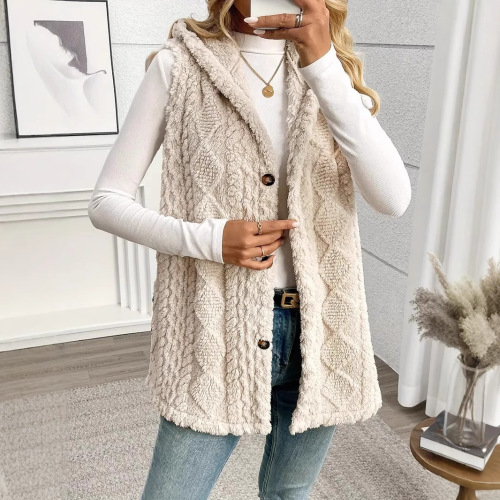 European and American cross-border foreign trade hot-selling solid color double-sided plush hooded button cardigan casual ladies autumn and winter vest
