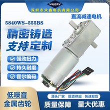 A58-555B双出轴直流减速电机涡轮涡杆齿轮微型电机大扭力电机自锁