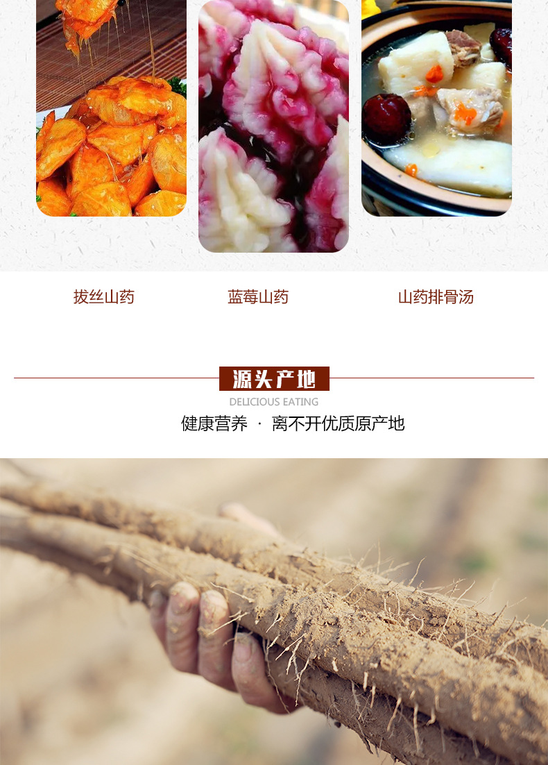 s山药_06.jpg