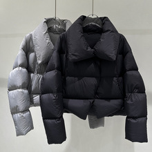 2025¿ɫٴrбů̿qŮ41020037