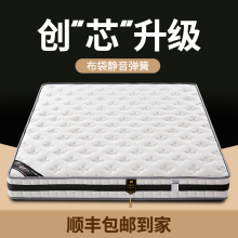 席夢思床墊軟硬兩用酒店雙人椰棕彈簧床墊經濟型20cm厚