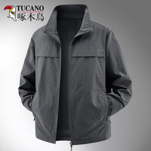 ��ľ�B���I�A����2026�����¿�����e�ٴ����ױ�����L�\������