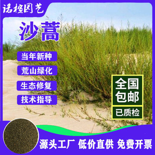 ���l���ݷN�� ɳ��N�� ��ɳ��N�� ��ɳ���ӻ�Įɳ���� ����ă�