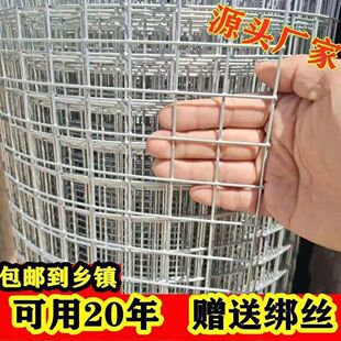 Bold hot galvanized non-rusting wire fence for chicken, duck and goose galvanized mesh pigeon cage bird cage rabbit cage anti-rat Net anti-snake