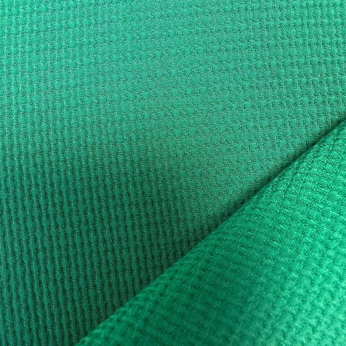 2024-11-04 19:21:24.jpg