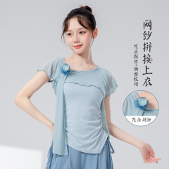 古典舞身韵新款花朵网纱拼接上衣中国舞现代舞形体舞蹈练功服纱衣