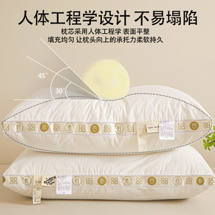 ���w�S���^��оһ���b�o�i׵��˯�ߌW���������^�оƵꌣ�ð�˯