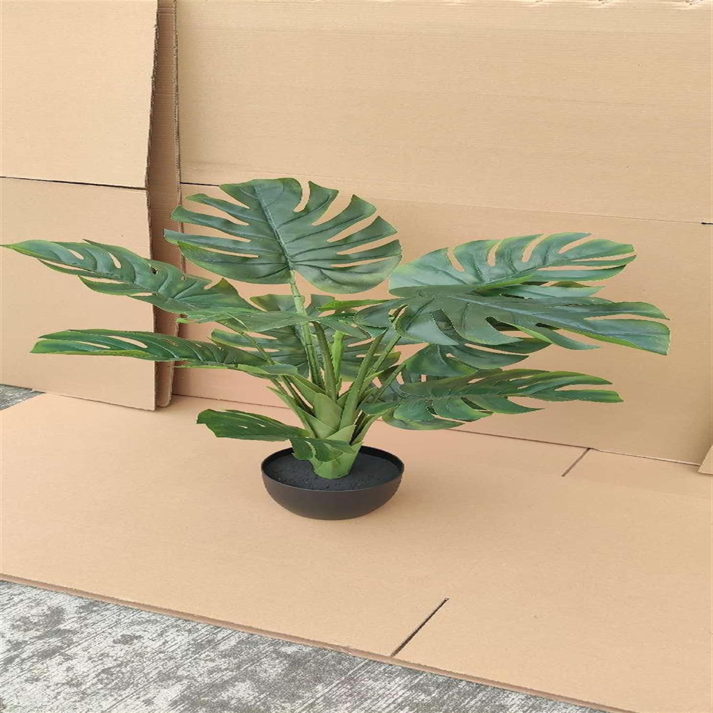 微信图片_202412311129192