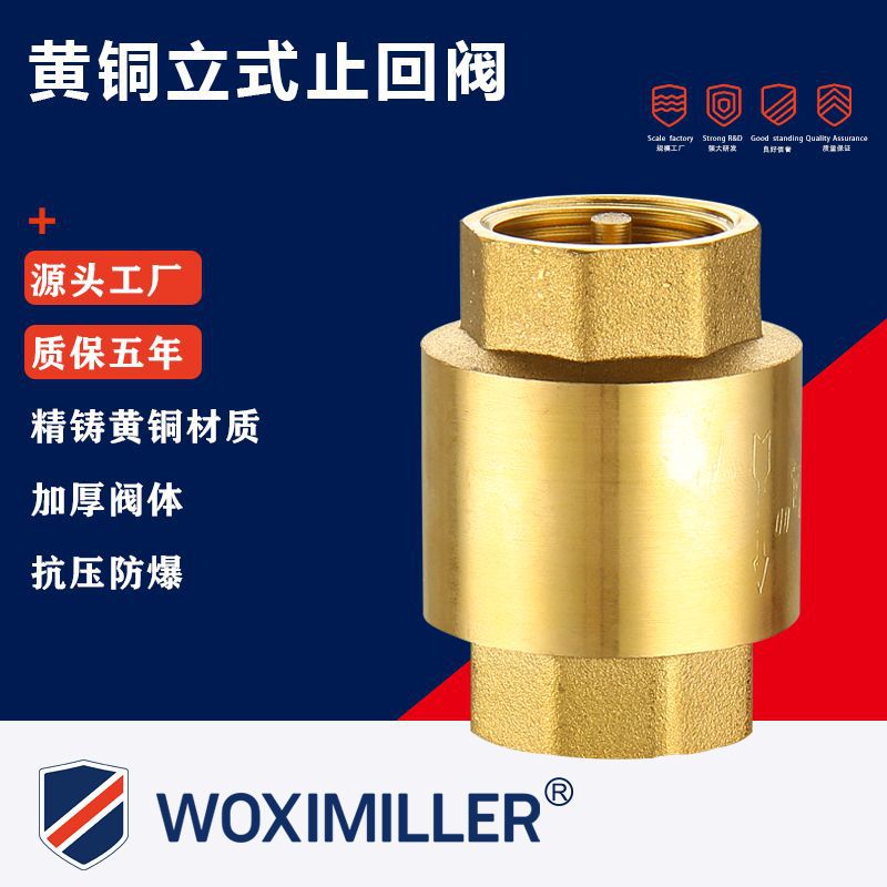 黄铜立式止回阀铜芯子软密封4分6分止回阀门防回流隔膜式止回阀