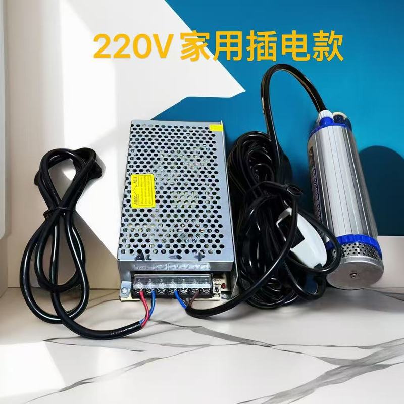 新款260W12V、24V、220V插电大功率高扬程电动抽油泵|undefined