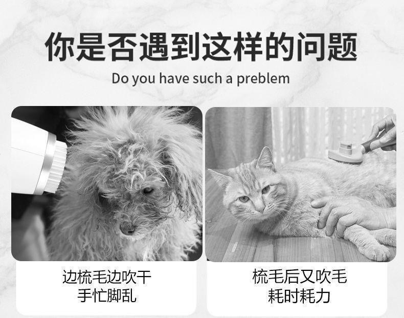 03f1431e-479c-4931-8f16-05679f099246.jpe