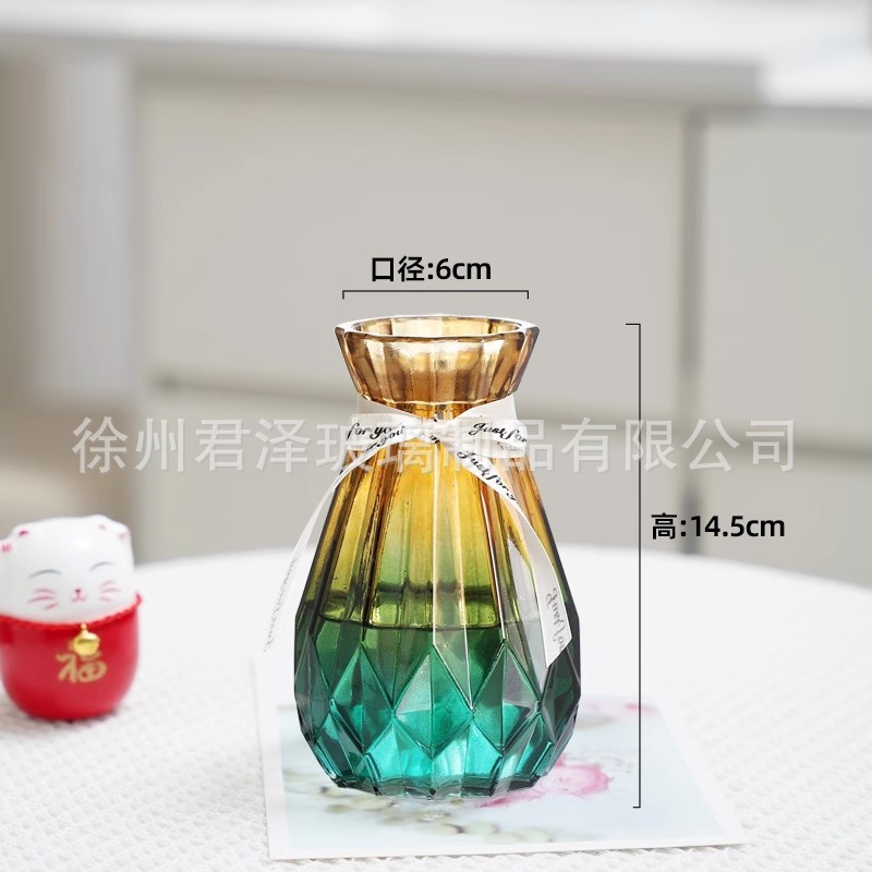北欧创意透明玻璃花瓶水培绿萝植物干花鲜花插花瓶客厅装饰摆件|undefined