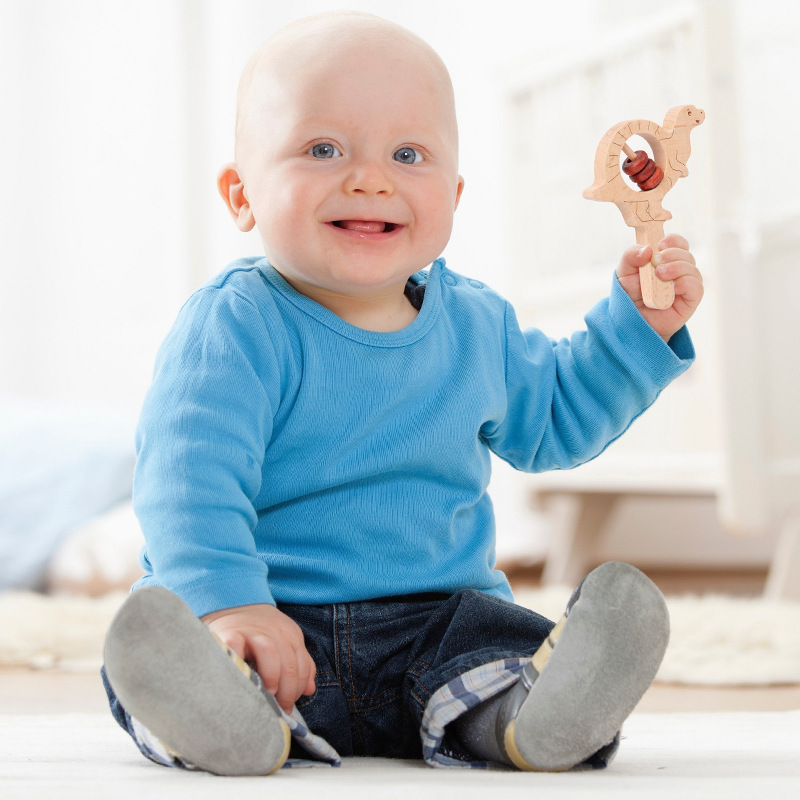 Juego de sonajeros de mano de dinosaurio de madera para bebés, campanas de cama para recién nacidos, música, educación temprana, rompecabezas, instrumentos musicales, juguetes