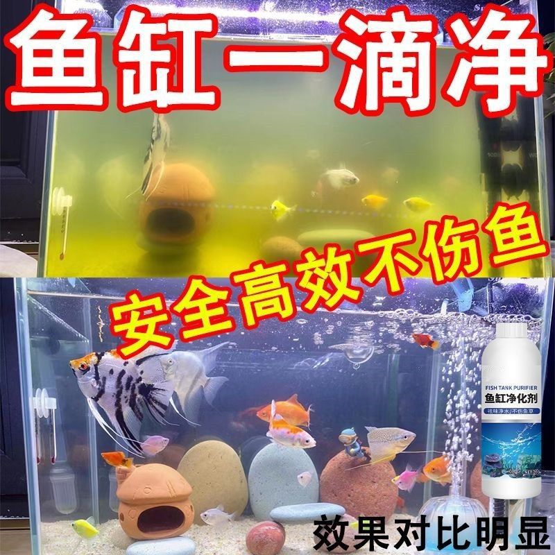 Purificador de Agua para Acuarios de Nitrobacterias, Limpiador y Eliminador de Algas, para Peceras image 3